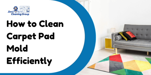 How to Clean Carpet Pad Mold Efficiently